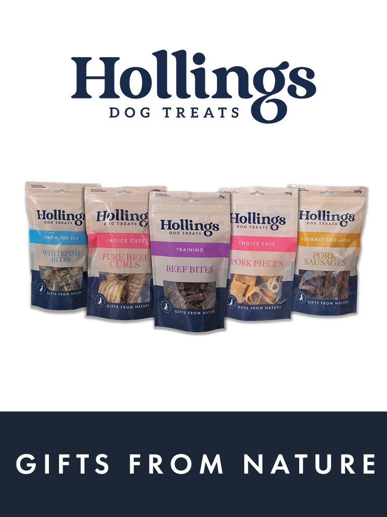 hollings brand block 767x1024