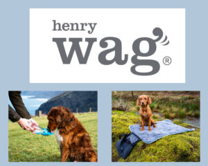 Wag for Web