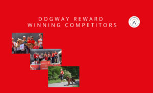 Dog Way Support Annual Running Event