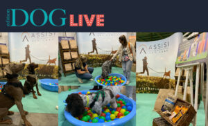 Edition Dogs Live – Round Up!