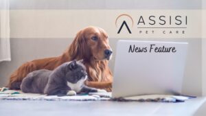 Assisi Pet Care współpracuje z Wind Point Partners