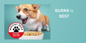 Burns Pet Nutrition führt die Which? Umfrage der Verbrauchervereinigung