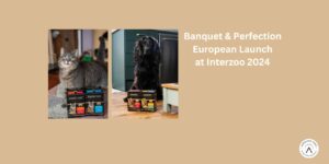 Banquet & Perfection – Launch into Europe.